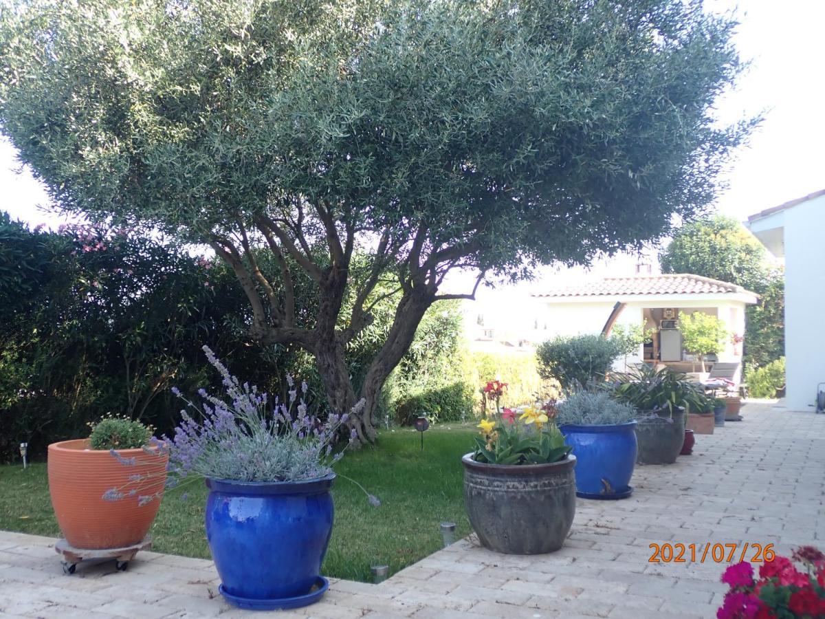 Les Fruitiers Agde Buitenkant foto