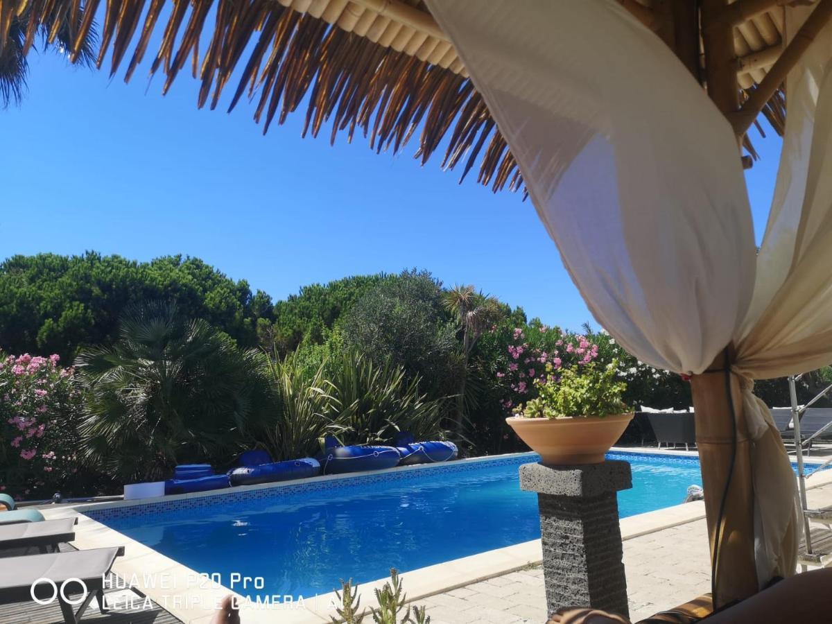 Les Fruitiers Agde Buitenkant foto